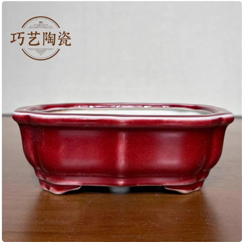 Porcelain Glazed Colorful Bonsai Pot | Ceramic Plant Pot