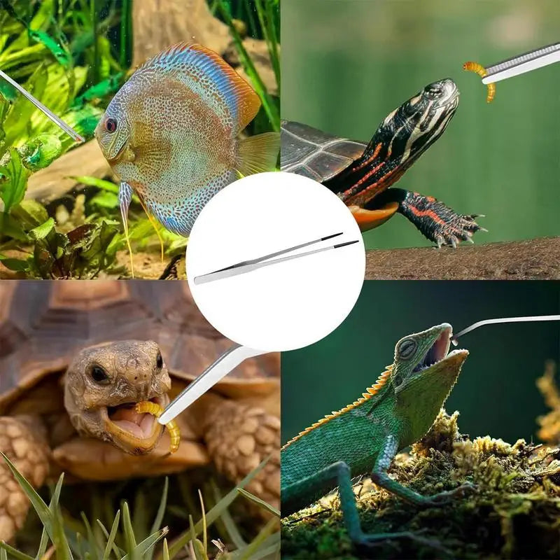 Extra Long Reptile Feeding Tongs Bearded Dragon Aquarium Tweezer With Rubber Tip 10.6 Inches Stainless Steel Bearded Dragon Tank Peaceful Pleasures Health and Wellness