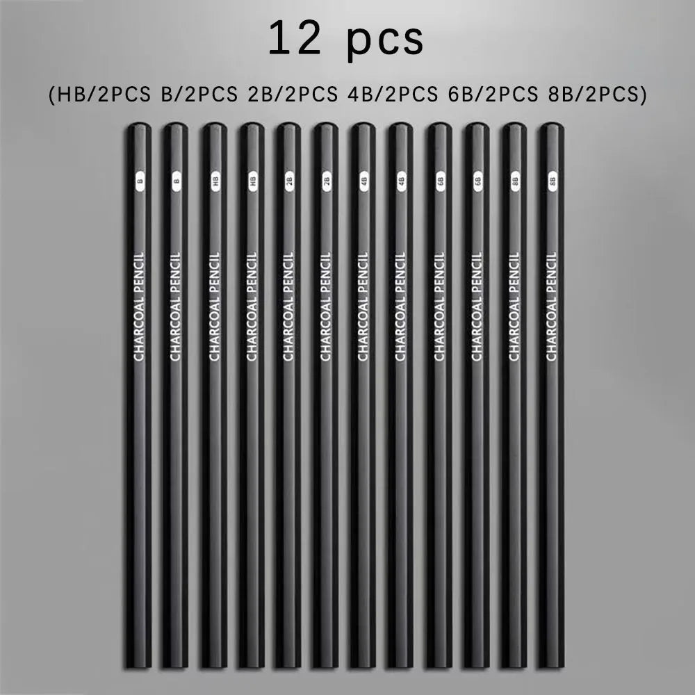 12 Sketching Pencil Students Beginner Charcoal Various Hardness Art