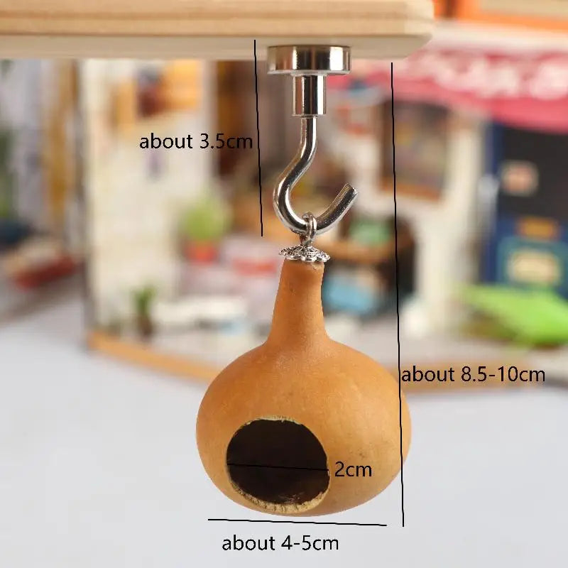 Natural Gourd Jumping Spider House | Magnetic Hanging Hideout