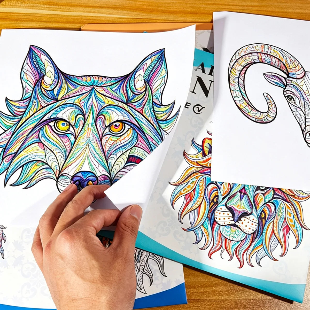 12 Page Animal Drawing Book Puzzle Watercolor Graffiti Adult Students
