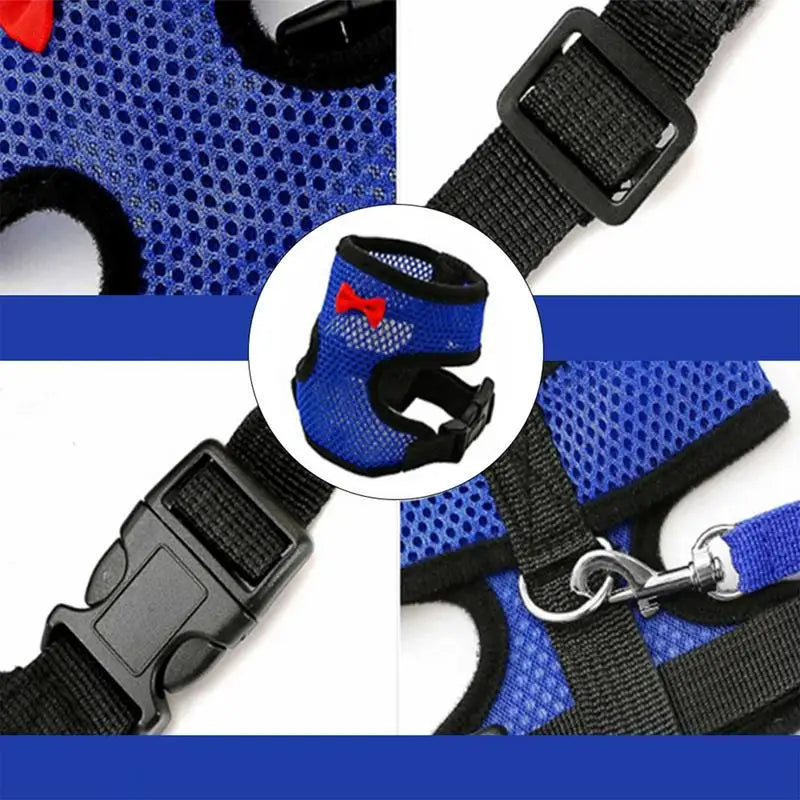 Chicken Harness For Hens Adjustable Chicken Traction Rope Harness Comfortable Hen Vest Pet Supplies 3.6Ft Training Rope For Hens Peaceful Pleasures Health and Wellness