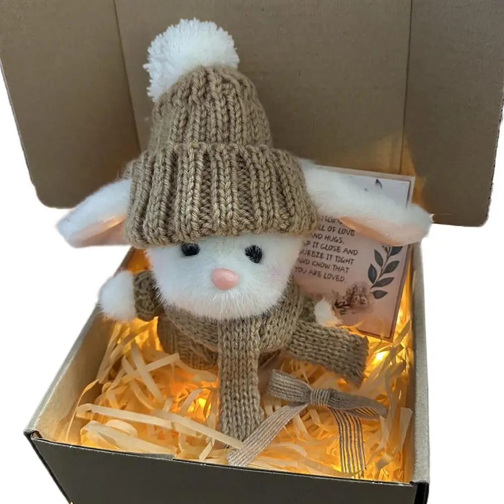 Plush Mini Bunny Gift Set | LED Strip & Hug Card Included