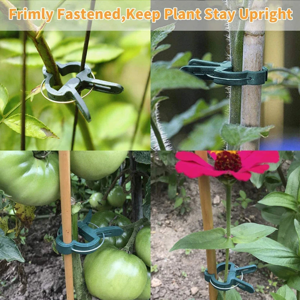 Plant Support Clips – Reusable Vine & Branch Clamping Stakes