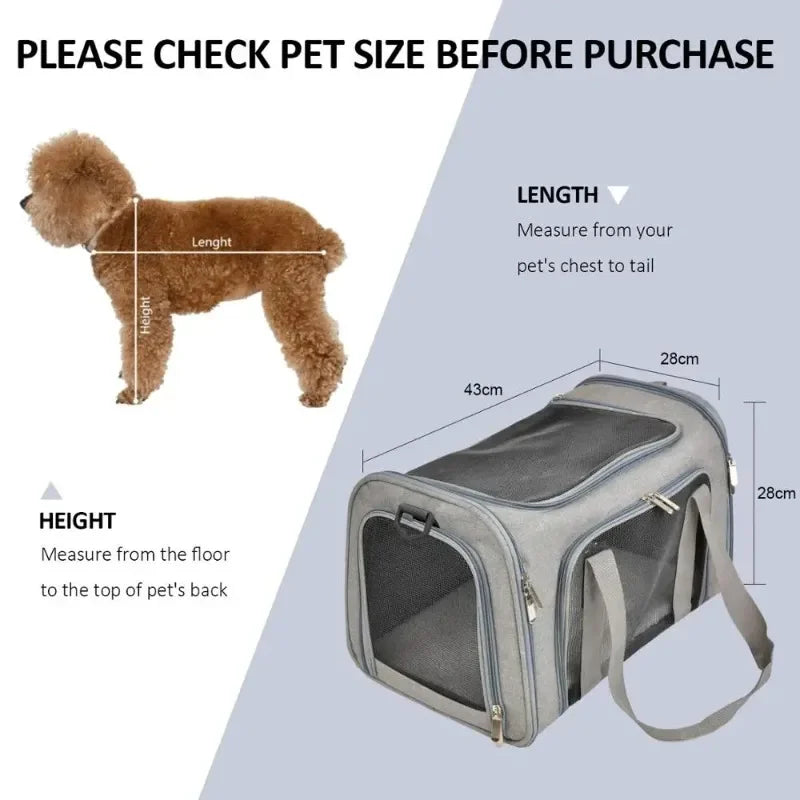 Airline Approved Pet Carrier Backpack for Small Dogs & Cats