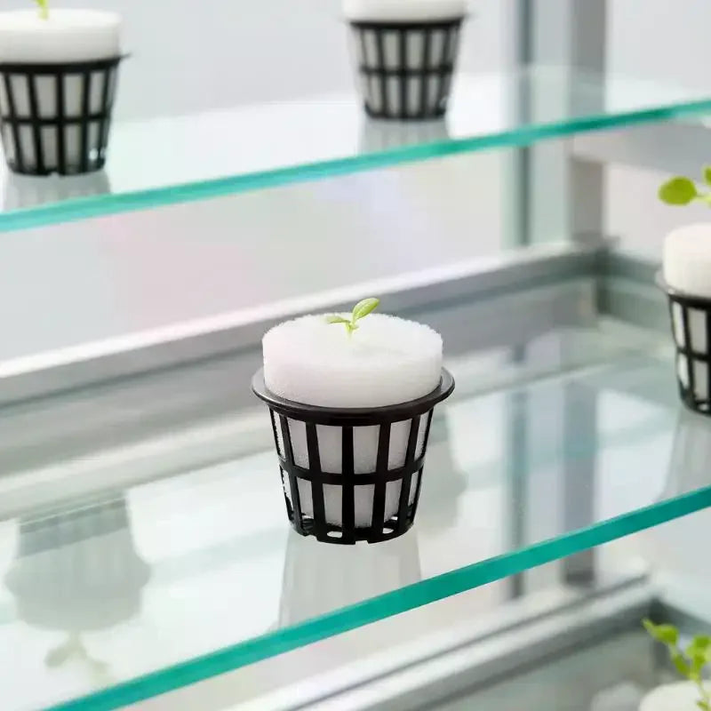 50-Pack Hydroponic Sponge Cubes | Soilless Growing Media