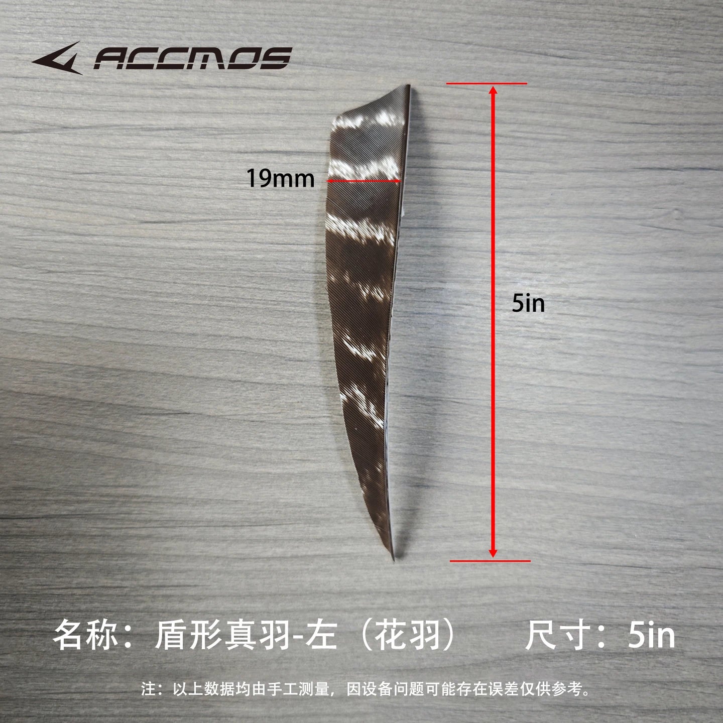 25 RW LW Natural Turkey Archery Arrow Feathers Shield 3 4 Fletching