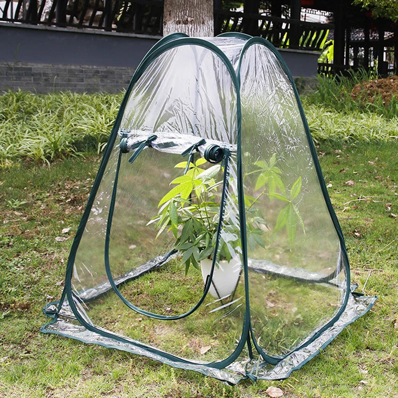 Foldable Pop-Up Mini Greenhouse Tent | Clear PVC Indoor & Outdoor