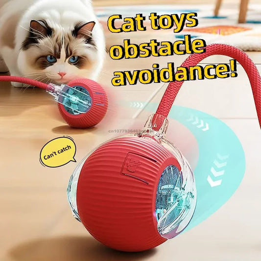 Automatic Rolling Interactive Cat Ball Toy – Rechargeable Interactive Cat Toy Oasis Select