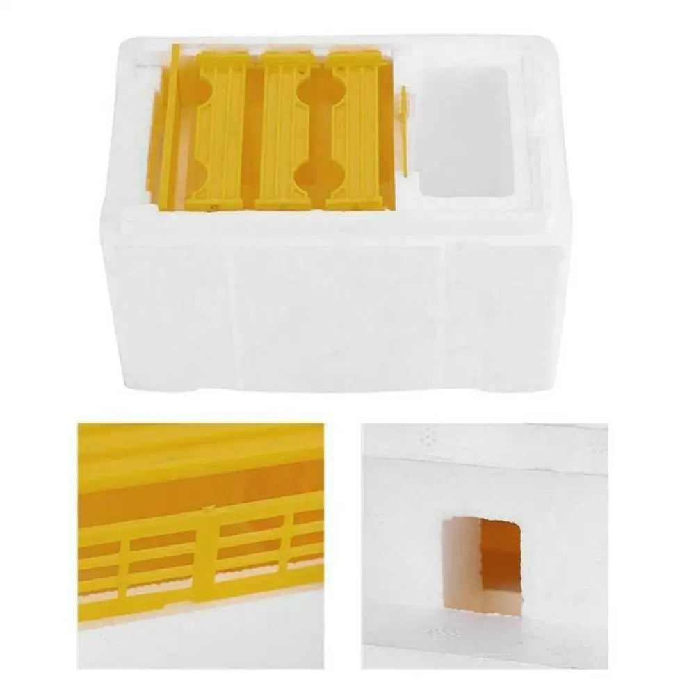 Foam Queen Rearing Mating Nuc Box – Beekeeping Hive Supplies