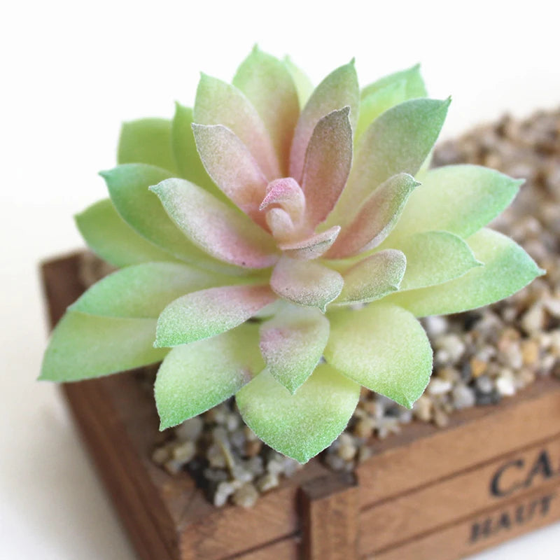 Artifical Plastic Succulent Plant Realistic Textured Cactus Mini Faux