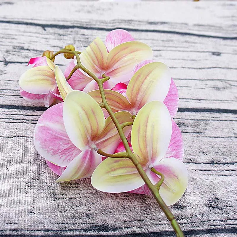 Artificial Butterfly Orchid Bundle 6 Heads | Wedding & Home Décor