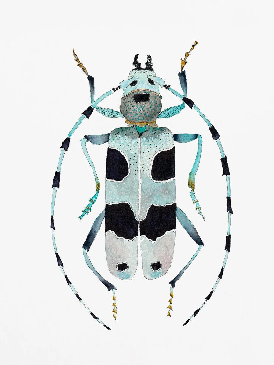 Watercolor Insect Canvas Print | Nursery & Kids Room Wall Art