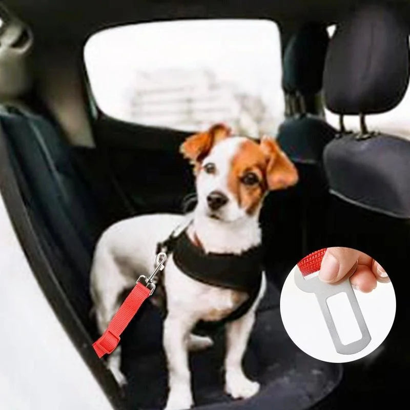 Adjustable Nylon Dog Car Seat Belt – Dogs, Cats & Ferrets