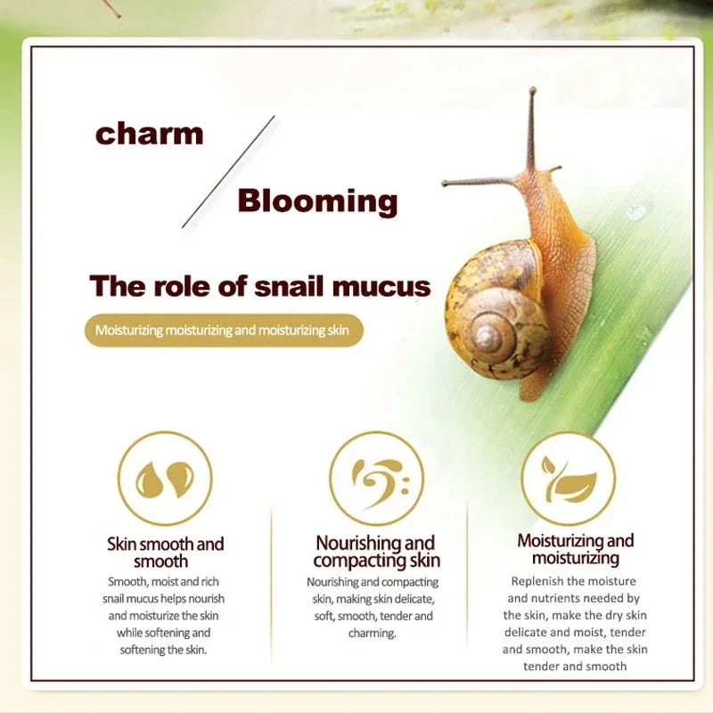 Skincare Set Snail Collagen Cream Anti Aging Whiten Skin Face Cream Fade Dark Eye Circles Remove Eye Bags Eye Serum Peaceful Pleasures Health and Wellness