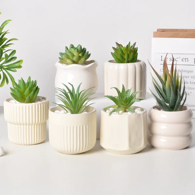 Ceramic Self-Watering Succulent Planter | White Minimalist Pot
