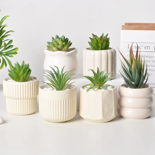 Ceramic Self-Watering Succulent Planter | White Minimalist Pot Ceramic Plant Pot Peaceful Pleasures Health and Wellness