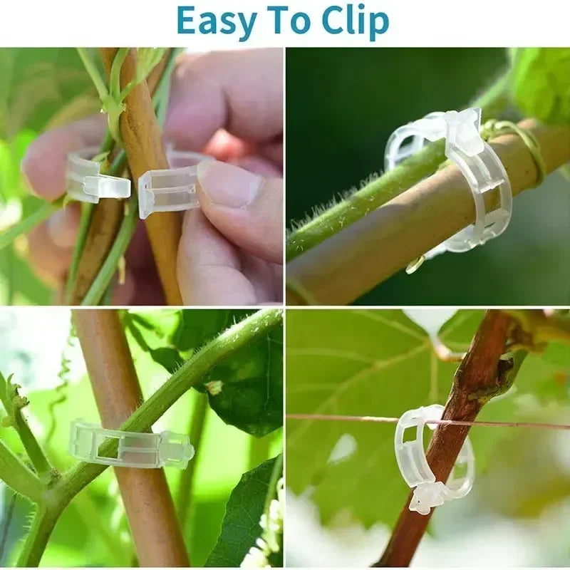 Plant Clips Supports Reusable Plastic Connects Fixing Vine Tomato Stem Grafting Vegetable Plants Orchard and Garden Tools Peaceful Pleasures Health and Wellness