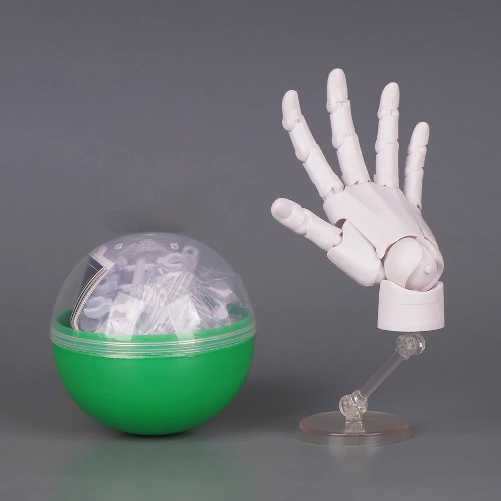 1:2 Scale Articulated Hand Model – Posable Fingers for Artists