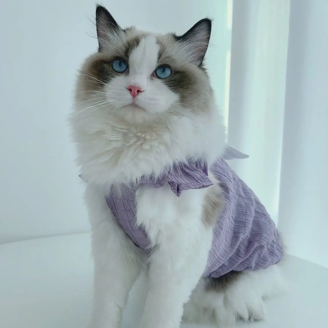 Cat Angel Wings Summer Shirt – Soft Breathable Pet Clothes