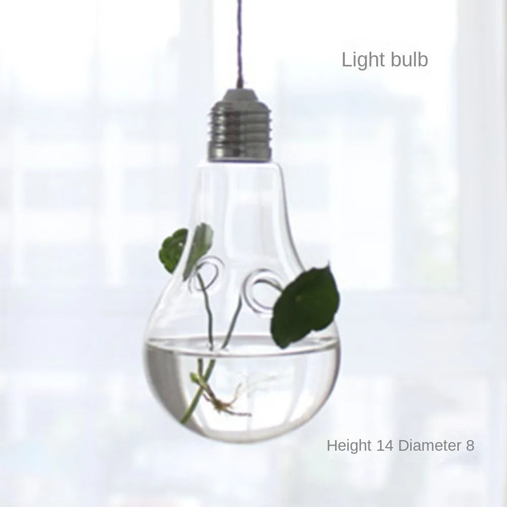 Hanging Glass Terrarium Vase | Hydroponic Plant Pot Decor