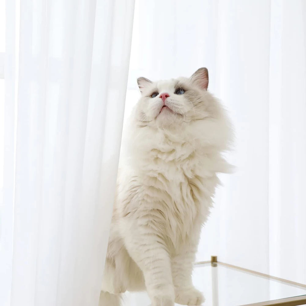 Sheer Curtains for Bedroom Windows Casual Solid White Yarn Tulle Curtain for Nursery/Living Room Kitchen Window Treatments Peaceful Pleasures Health and Wellness