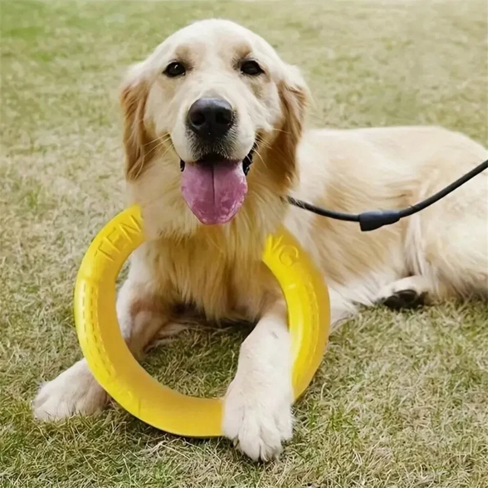 Dog Toys Pet Flying Disk Training Ring Puller Anti-Bite Floating Interactive Supplies Dog Toys Aggressive Chewing Toy dog stuff Peaceful Pleasures Health and Wellness