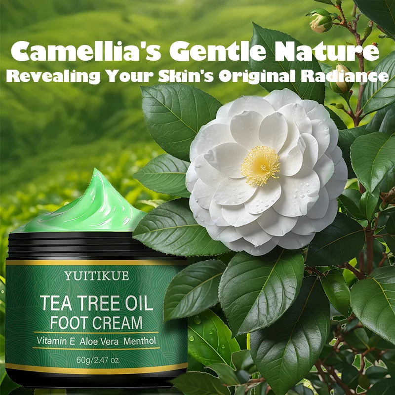 Yuitikue Tea Tree Oil Foot Cream, 60g Infused with Vitamin E & Aloe Vera, Moisturizing Foot Care Cream for Dry Cracked Feet Peaceful Pleasures Health and Wellness