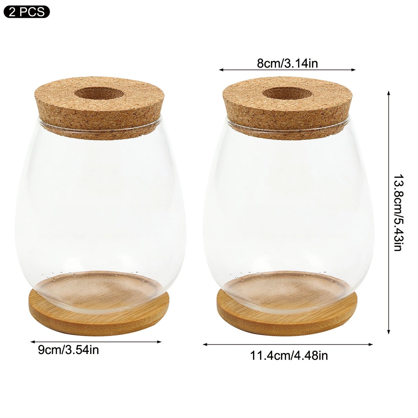 Plant Terrarium Transparent Vase Desktop Propagation Stations Glass Planter For Office Home Garden Decor Peaceful Pleasures Health and Wellness
