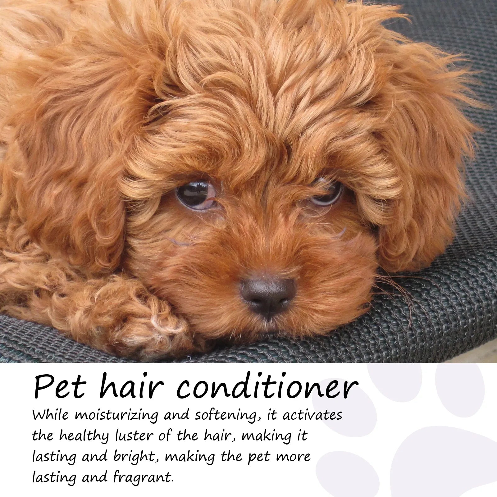 Pet Hair Conditioner Hair Softening Prevent Hair Knots Bathless Clean Odor Removal Moisturizing Cat Anti Mite Ticks Dog Shampoo Peaceful Pleasures Health and Wellness