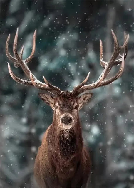 Christmas Collection Canvas Print Art Santa Christmas Tree Deer Poster Canvas Wall Art Picture Unique Home Decor Christmas Gifts Peaceful Pleasures Health and Wellness ZLH5476 20x30cm No Frame