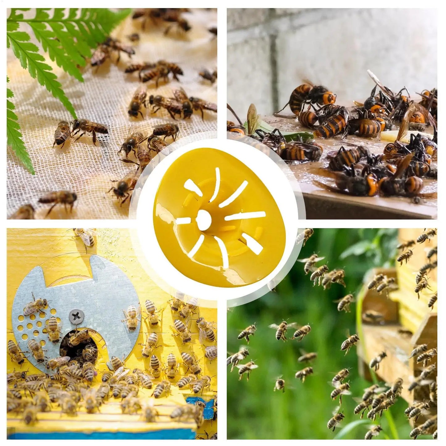 Flower Wasp Trap 10-Pack | Reusable Bee & Hornet Catcher