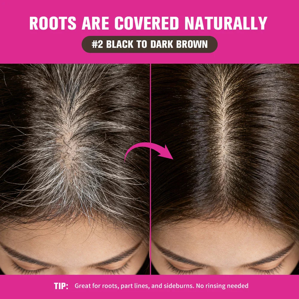 Root Cover-Up Stick | Hairline & Gray Coverage Pen