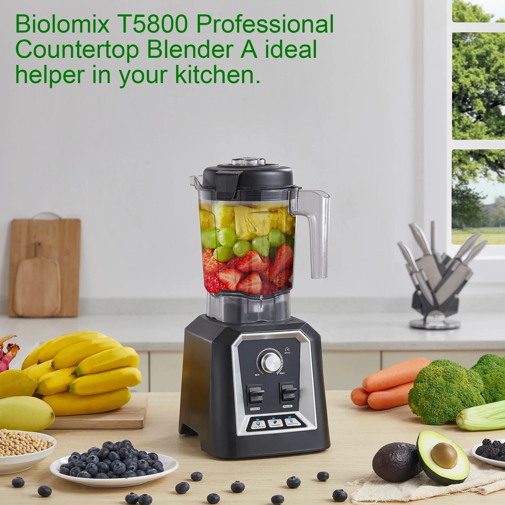 BioloMix 2L Professional Blender – Auto Programs, BPA-Free, Ice Crush Blender BioloMix