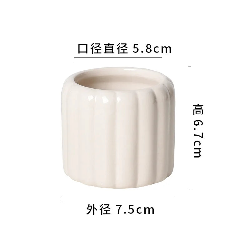 Ceramic Self-Watering Succulent Planter | White Minimalist Pot