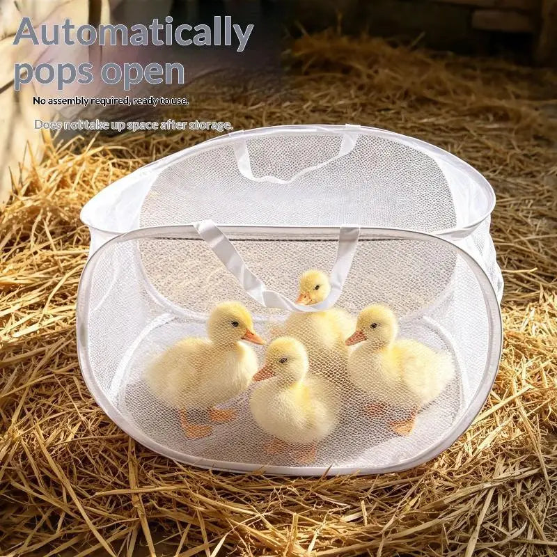 Foldable Small Pet Playpen – Breathable Mesh for Chicks & Ducklings