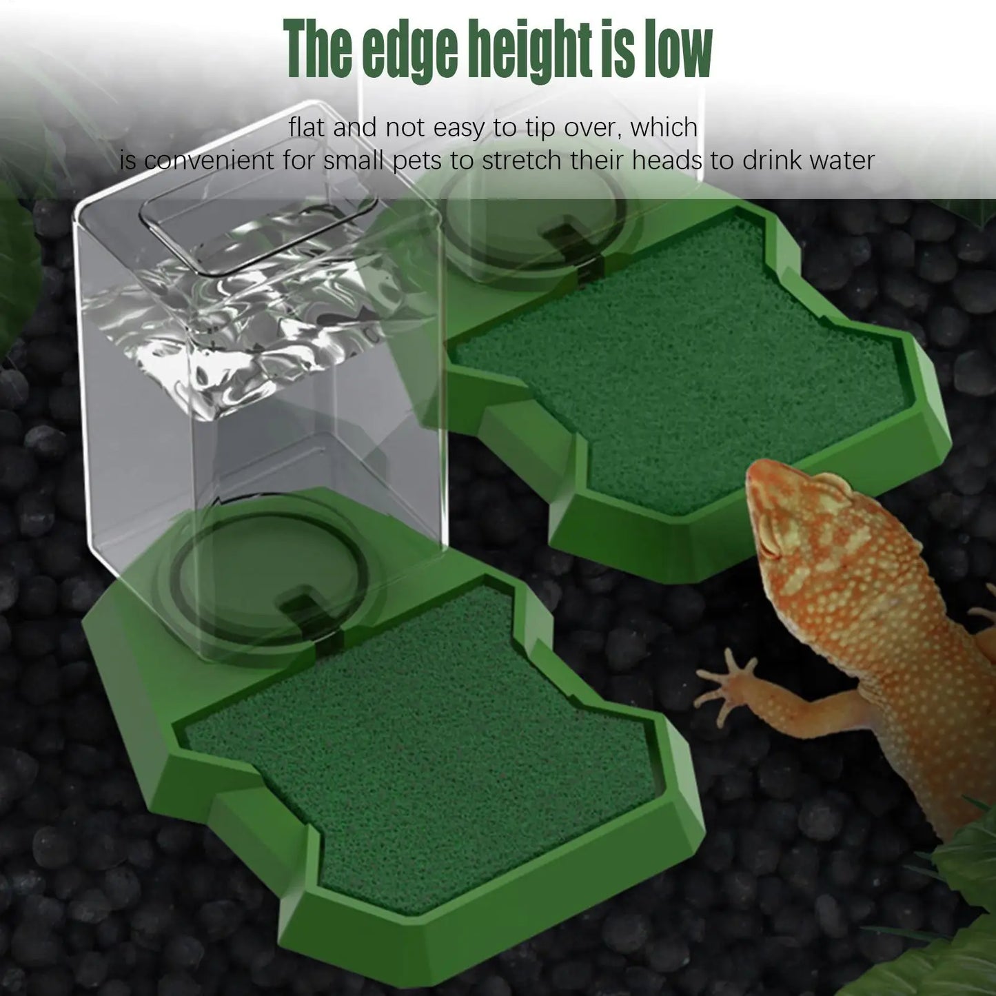 Reptile Water Dispenser & Anti-Slip Dish Bowl | Large Capacity