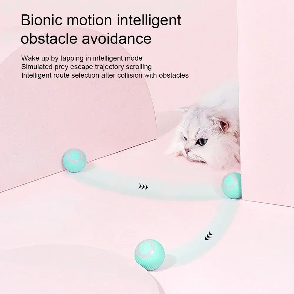 Interactive Cat Ball Toy – USB Rechargeable 360° Auto Rolling