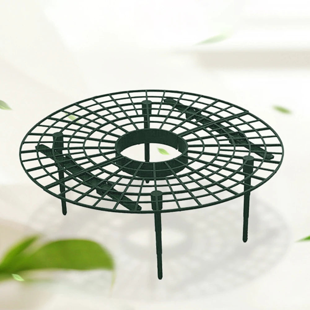 Strawberry & Vine Plant Support Stands – Elevated Fruit Rack Peaceful Pleasures Health and Wellness