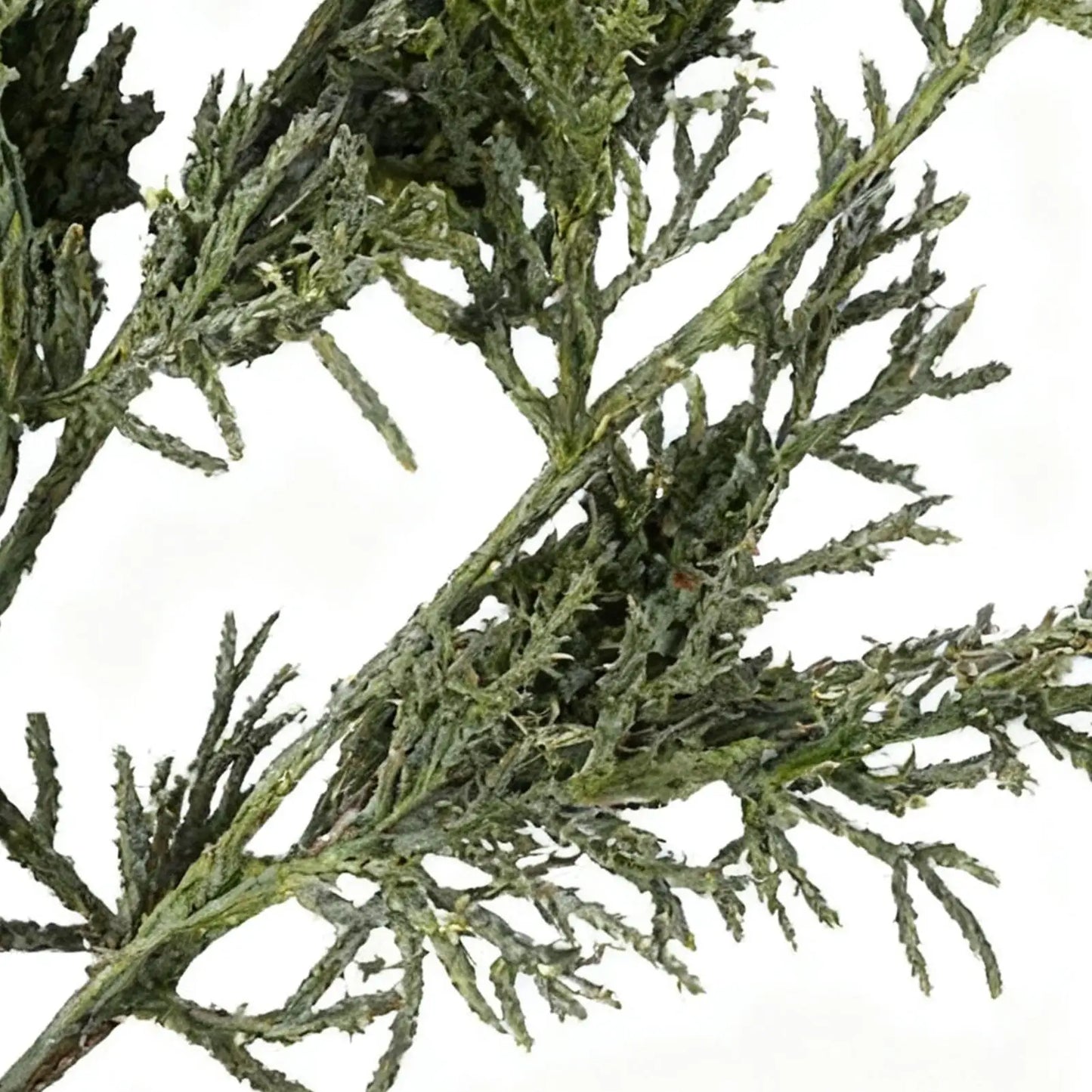 Christmas Greenery Stems Artificial Cedar Home Decor Cedar Branches Fake Greenery Christmas Picks For Crafts Wreath Vase Filler Peaceful Pleasures Health and Wellness