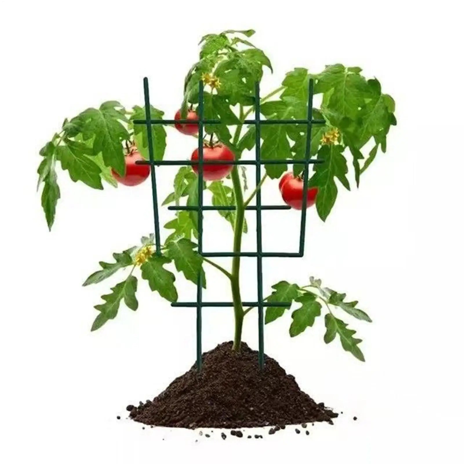 Potted Plant Trellis 10 Pieces Small Adjustable Rustproof Support Climbing Plants Support Stakes For Vine Ivy Clematis Jasmine Peaceful Pleasures Health and Wellness