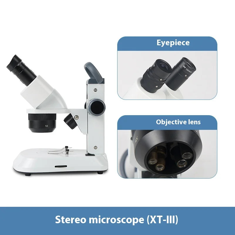 Stereoscopic Microscope with Three Variable Magnification Lenses and Oblique Led Light Source 10X20X40X Peaceful Pleasures Health and Wellness