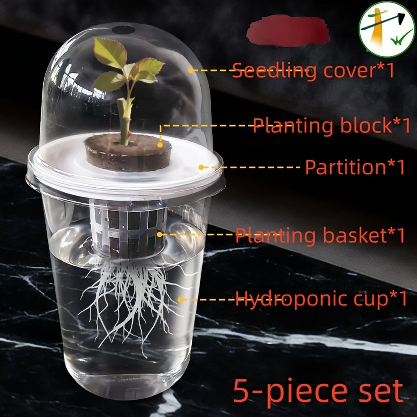 1pc Visible Clear Plants Germination Cup Hydroponic Seed Planter Pots Reusable Durable Seed Starter Tray Plastic View Cups Peaceful Pleasures Health and Wellness