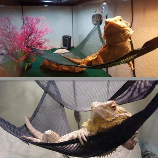Reptile Hammock Lounger & Ladder Set – Geckos, Lizards & Snakes Reptile Habitat Accessory Peaceful Pleasures Health and Wellness
