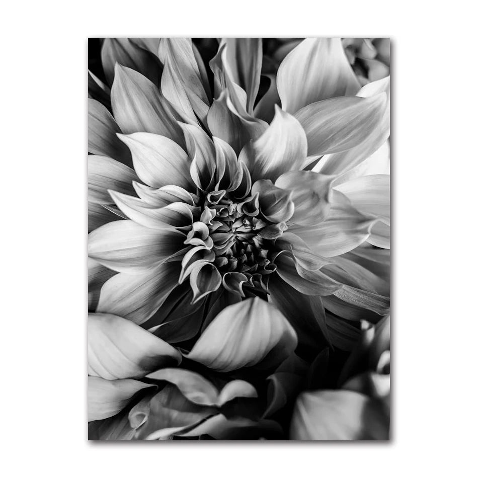 Black & White Floral Canvas Wall Art | Nordic Abstract Poster