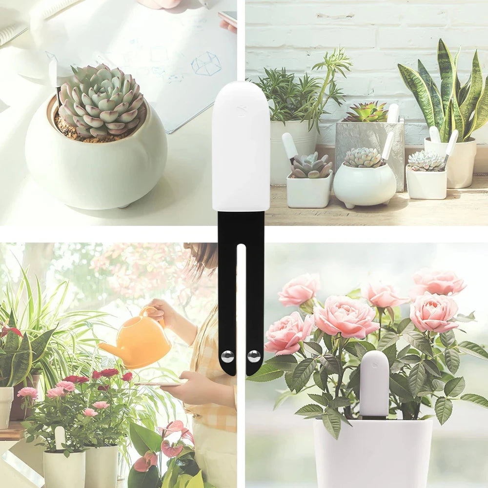 HHCC Flora Monitor Flower Care Plant Sensor Grass Soil Water Fertility Smart Tester Flower Gardening Detector For XiaoMi Mijia Peaceful Pleasures Health and Wellness