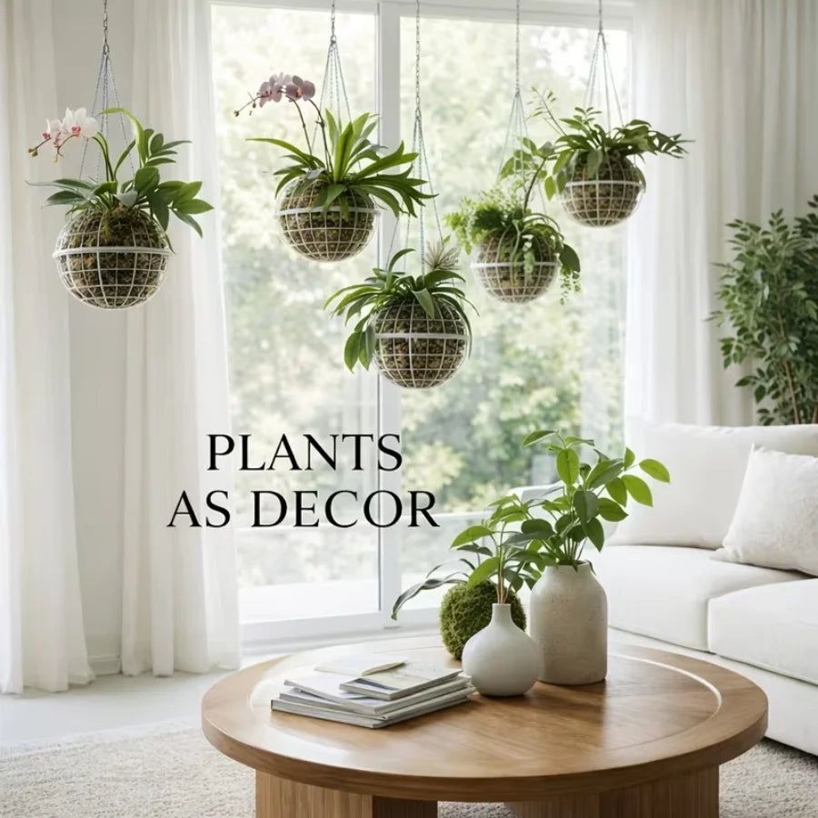 Wall-Mounted Moss Flowerpot Set for Succulents & Orchids