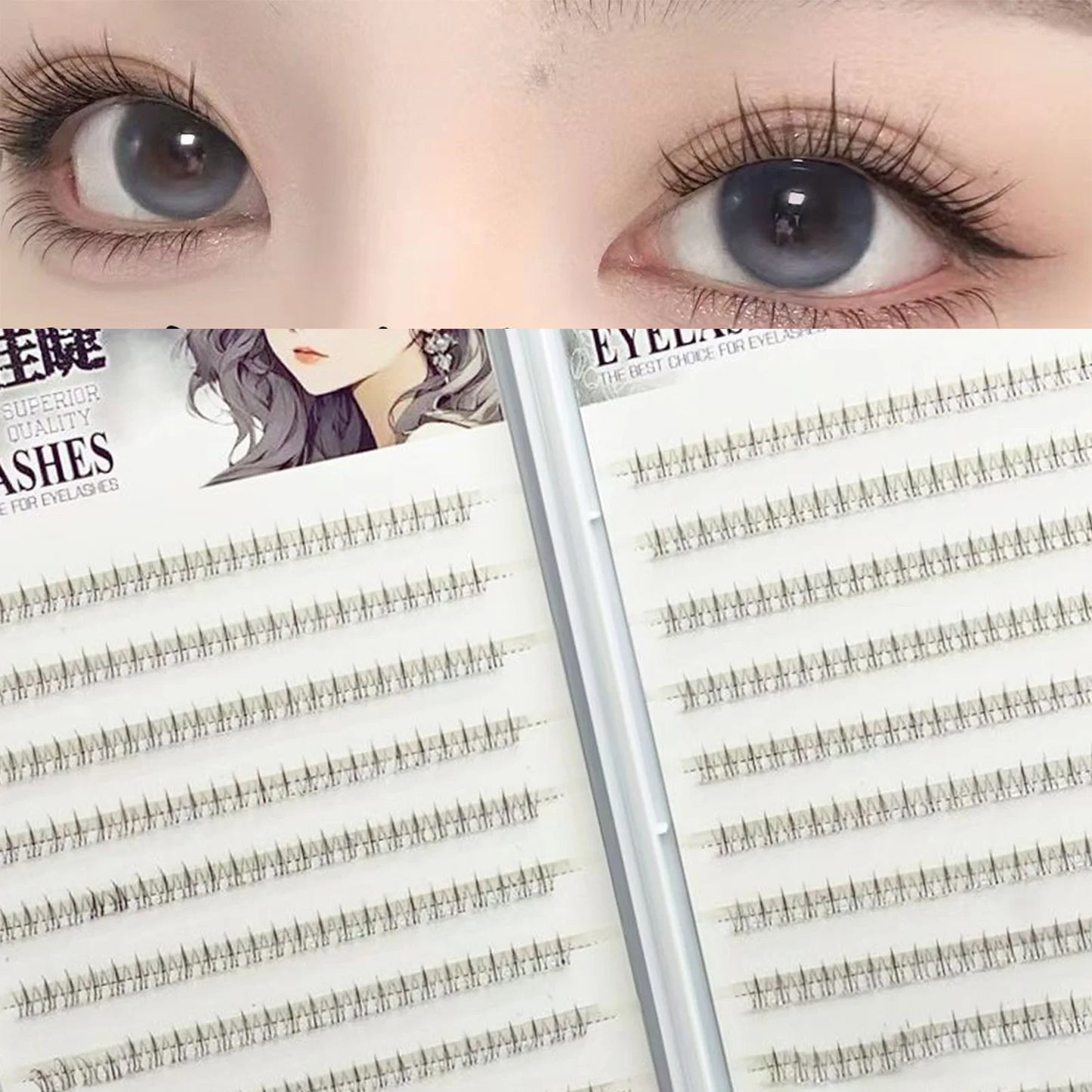 Cat Paw Lower Cluster Lash Extensions – Transparent Band