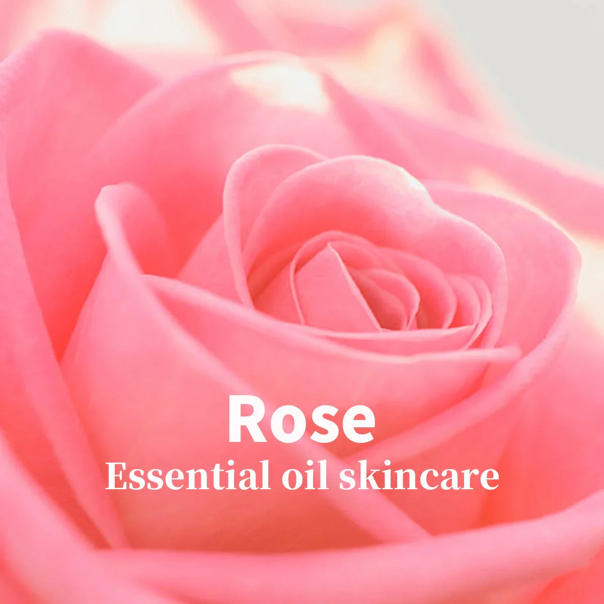 Rose Essential Oil Cleansing Mousse – Oil Control & Nourishing