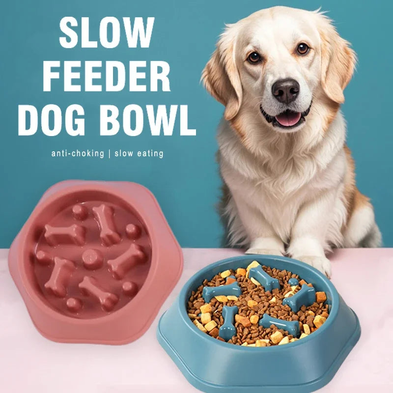 Slow Feeder Dog Bowl – Anti-Slip Maze Puzzle for Small & Medium Dogs